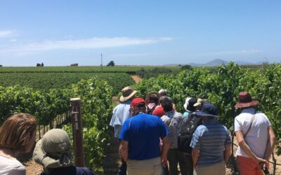 Incoming Sardegna: quali servizi offre un tour operator per viaggi di gruppo ed eventi su misura