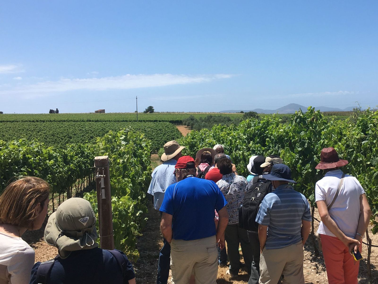 incoming tour operator sardinia group winery